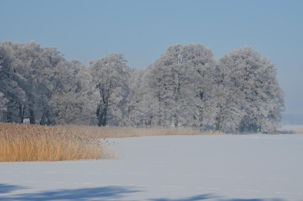 Stara Szkola W Harszu Bed & Breakfast Pozezdrze