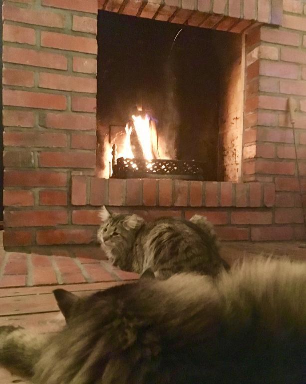 Stara Szkola W Harszu Pozezdrze